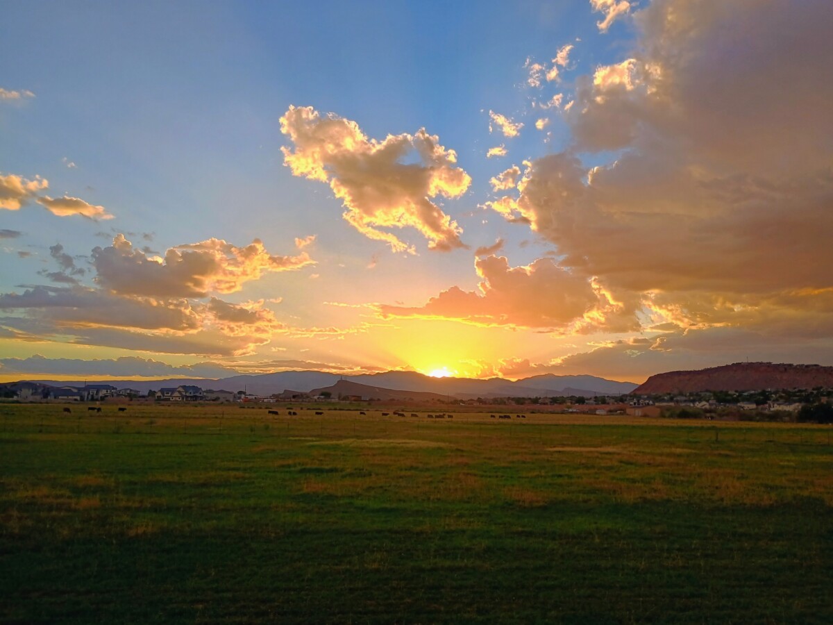 img_20260831_195216175_hdr_ae2