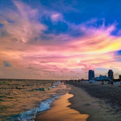 miami-2026-9